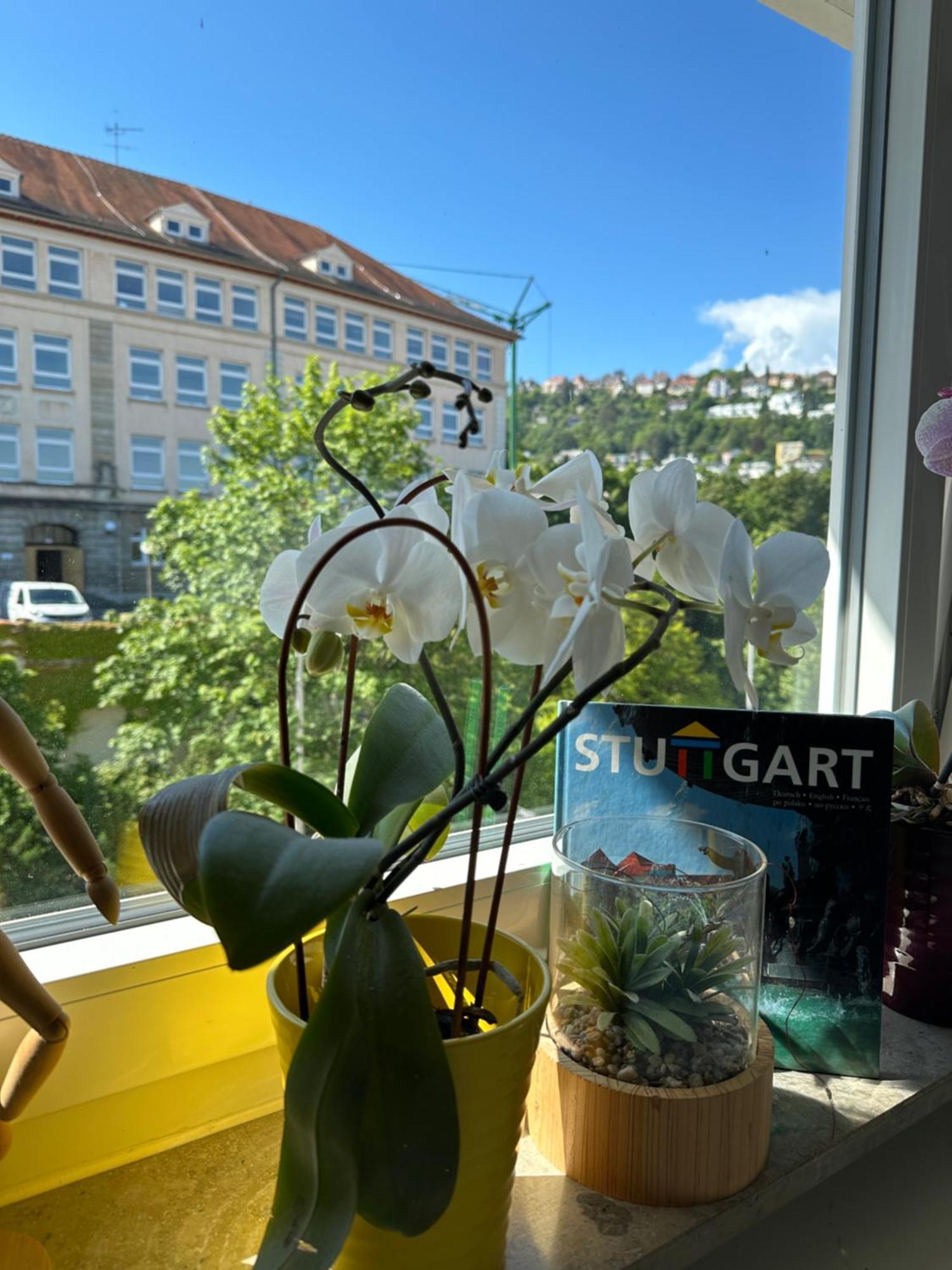 Renovated Flat - Prime Location Near Marienplatz Apartment Stuttgart Ngoại thất bức ảnh